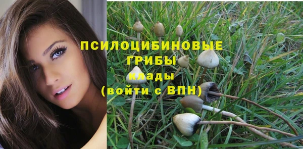 твердый Армянск