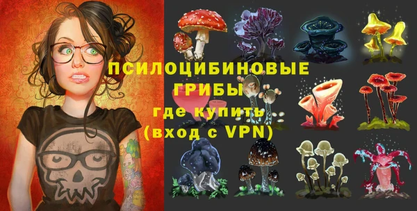a pvp Арсеньев