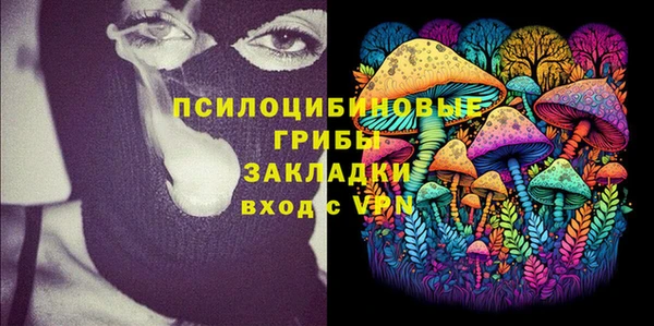 твердый Армянск