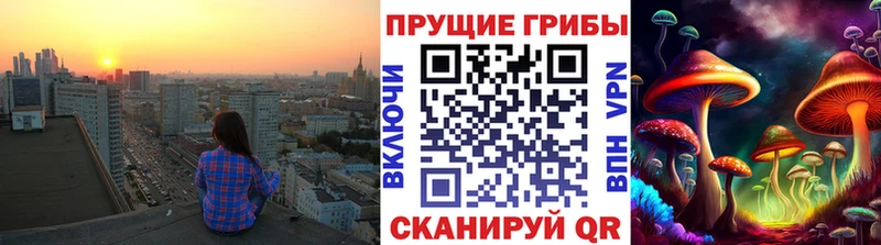 Псилоцибиновые грибы Psilocybine cubensis  продажа наркотиков  Магадан 